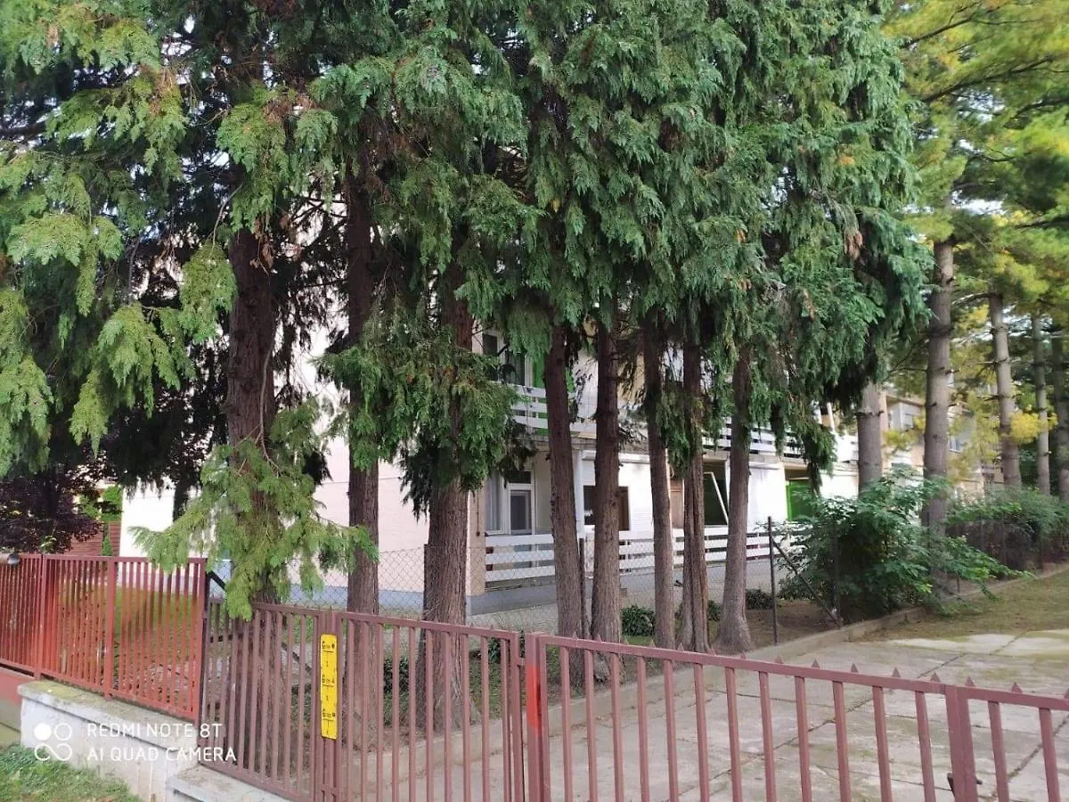 Apartment Erdei Apartman Hajduszoboszlo