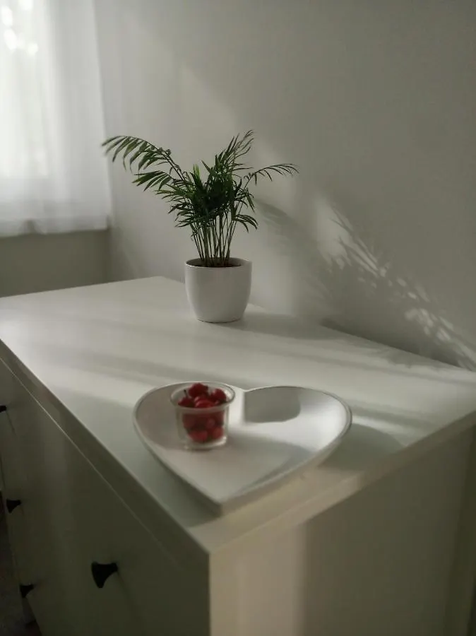 Erdei Apartman Hajduszoboszlo Apartment